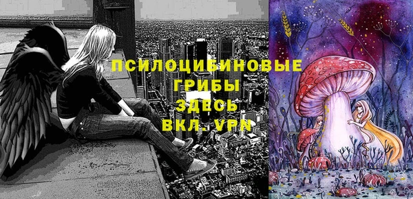 Альфа ПВП Нефтегорск