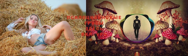 СК Нея