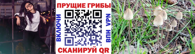Псилоцибиновые грибы Magic Shrooms  Купить  Козьмодемьянск 